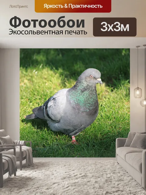 Фотообои Город