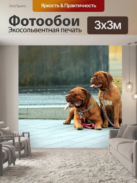 Фотообои Барбара де бордо