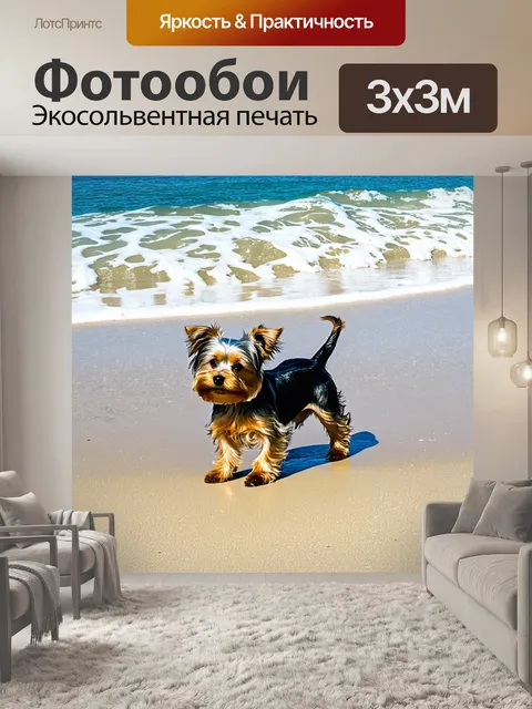 Фотообои йоркширский терьер, играющий на пляже, где волны нежно омывают песок