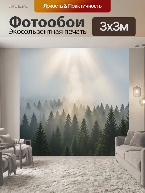 Фотообои Туманный хвойный лес с лучами