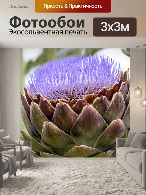 Фотообои цветущий артишок