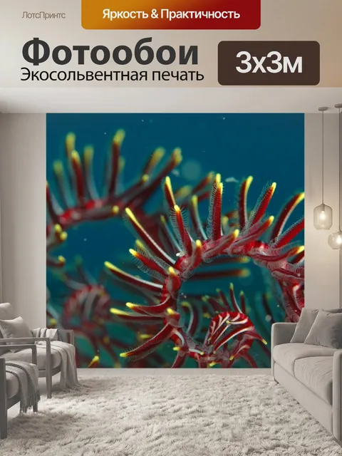Фотообои Коралловый