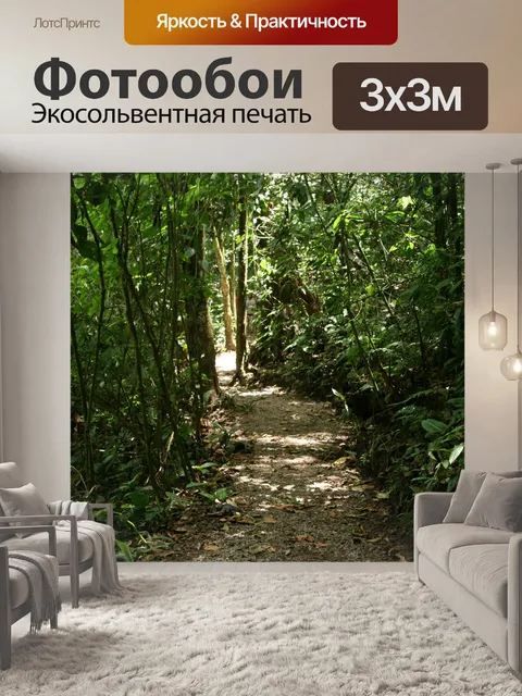 Фотообои Коста-Рика Trail
