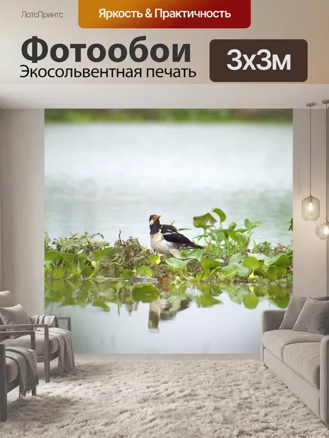 Фотообои Птица