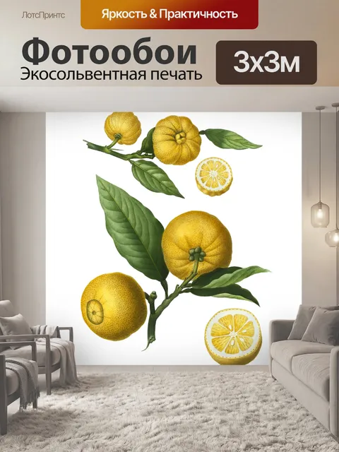 Фотообои Лимонный Апельсин Винтаж Клипарт