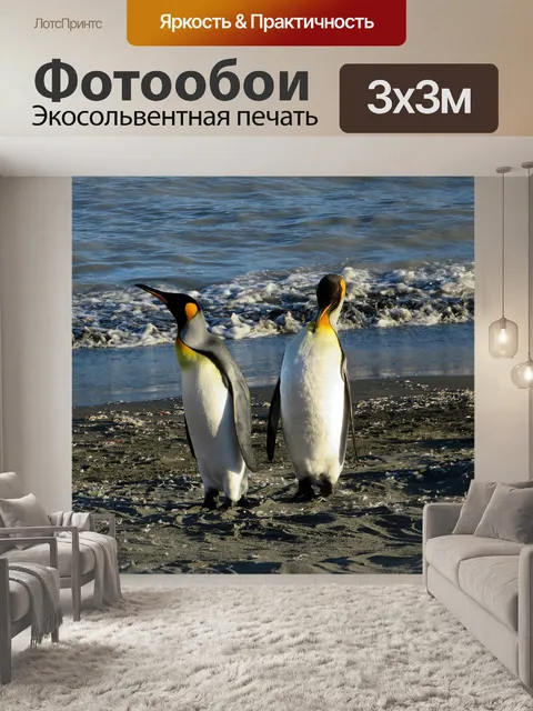 Фотообои Королевские пингвины