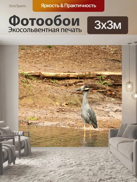 Фотообои Желтая коронованная ночь Херон Уодинг
