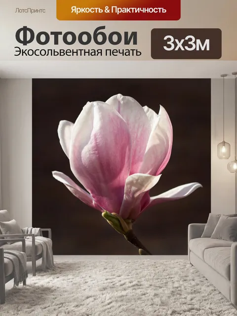 Фотообои магнолия