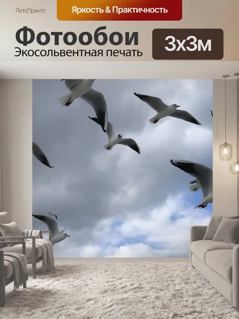 Фотообои Птица