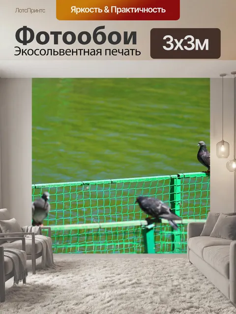 Фотообои Россия