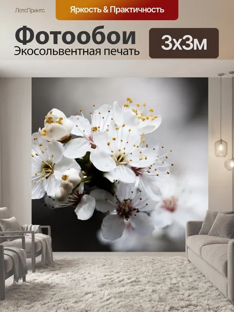 Фотообои Цветущая вишня