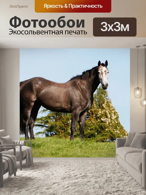 Фотообои лошадь