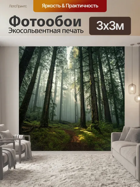 Фотообои природа в стиле фотореализм: таинственный лес с густым туманом