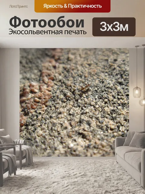 Фотообои Муравей на камне