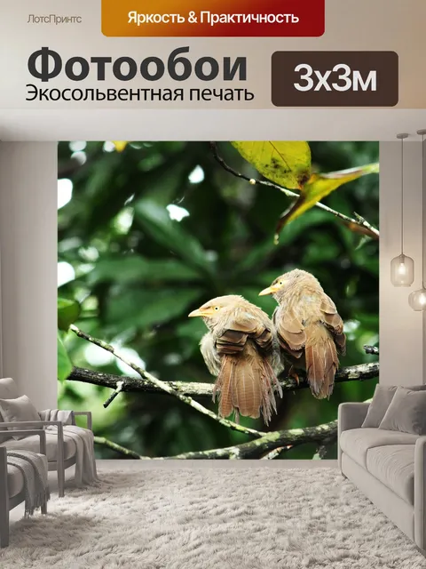Фотообои Птица