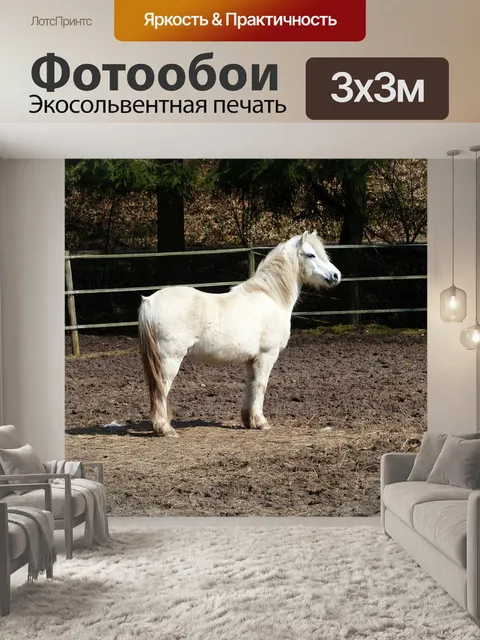 Фотообои Пони