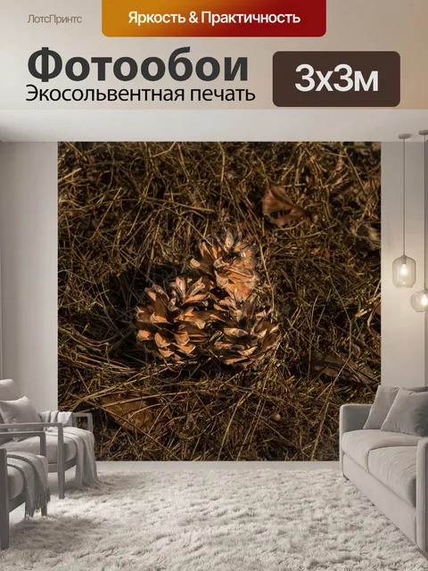 Фотообои Сосновые шишки