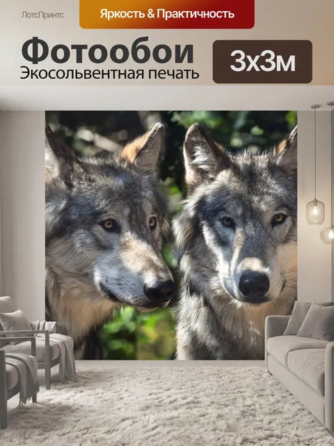 Фотообои Волк