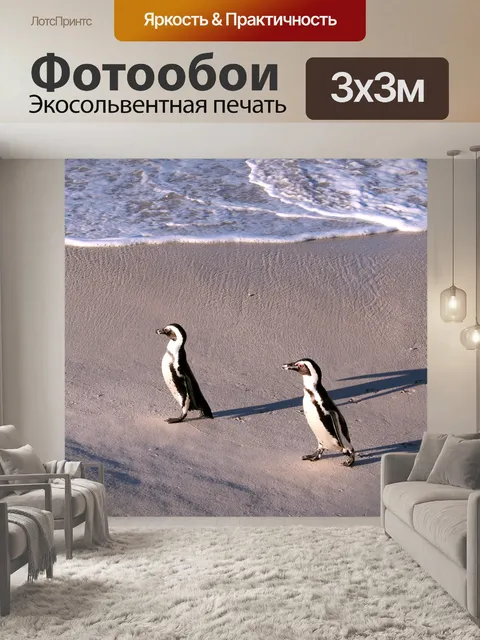 Фотообои Пингвин