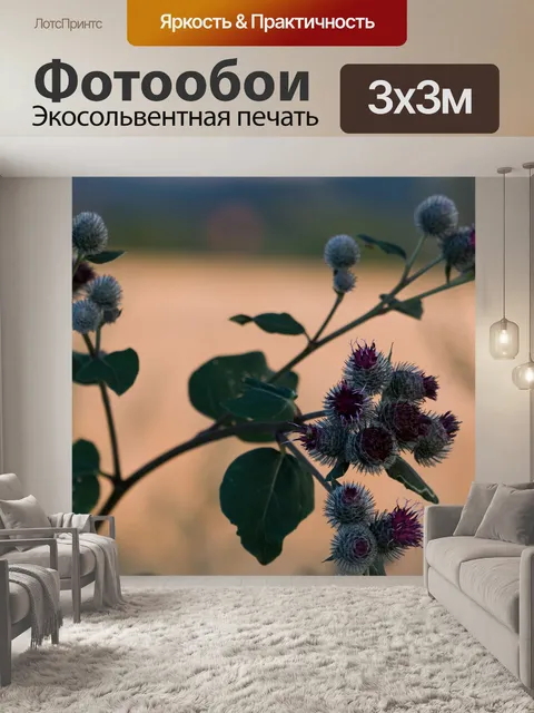 Фотообои Чертополох