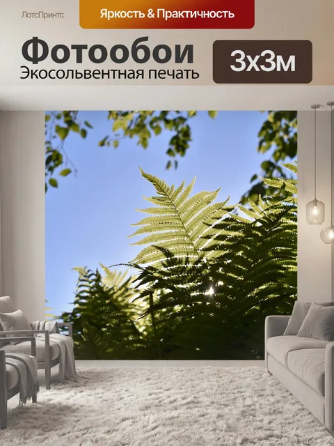 Фотообои Папоротник