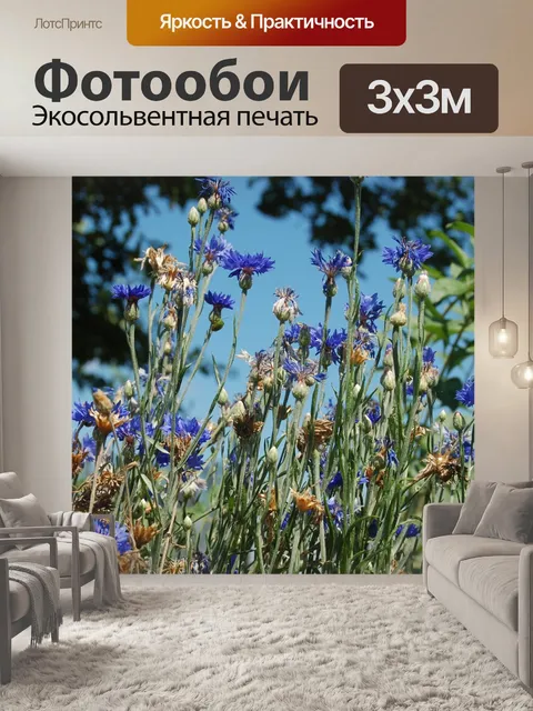 Фотообои Синие цветы