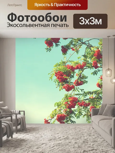 Фотообои Красные ягоды Урожай Цвета