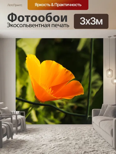 Фотообои Калифорнийский мак