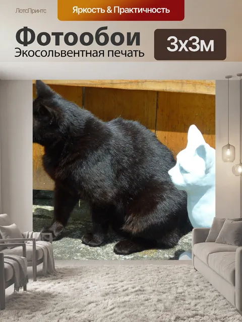 Фотообои Кошки