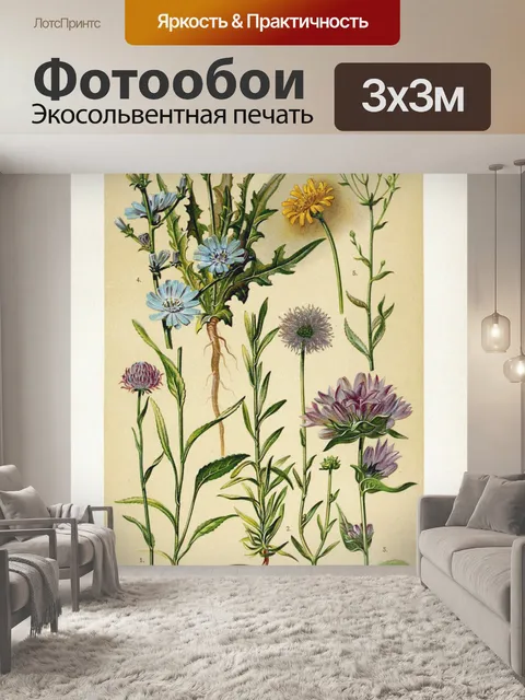 Фотообои Цветочная иллюстрация полевых цветов ста