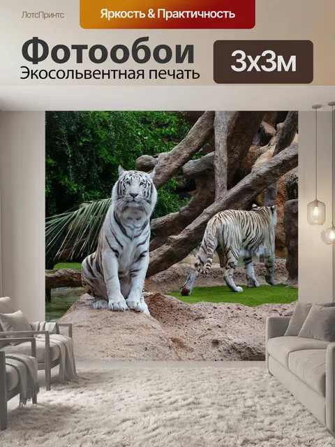 Фотообои Белый бенгальский тигр