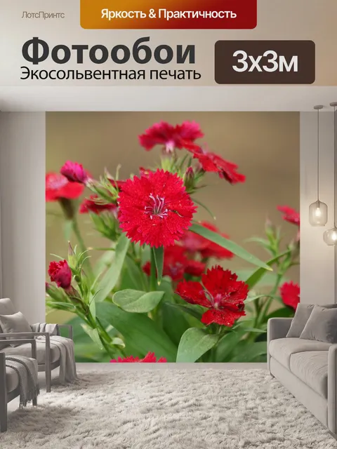 Фотообои Красные цветы диантуса