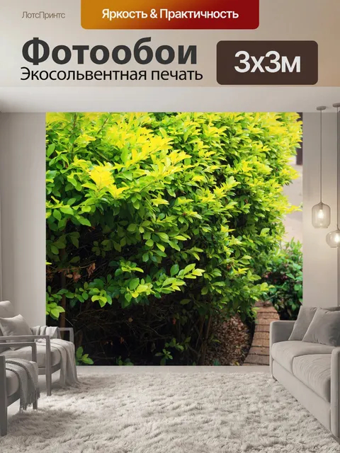 Фотообои желто-золотой куст на стене