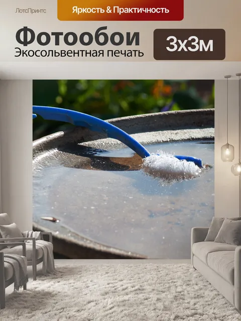 Фотообои синяя пластиковая щетка для чистки