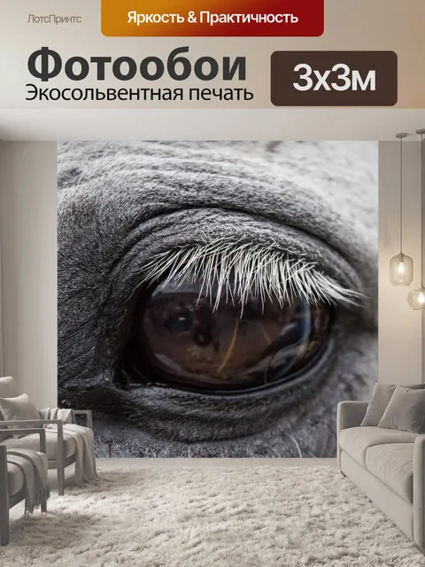 Фотообои Лошадиный глаз