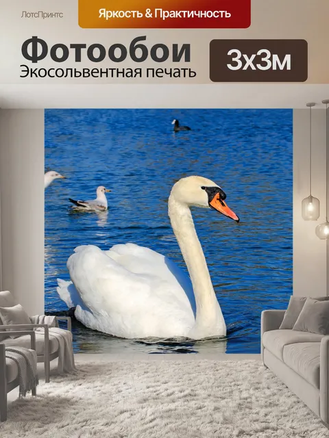 Фотообои Лебедь