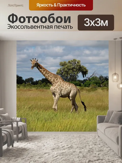 Фотообои Жирафа
