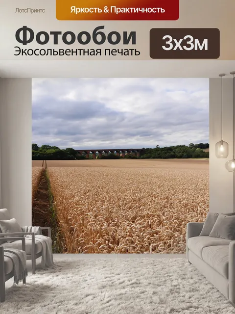 Фотообои Лестершир кукурузном поле