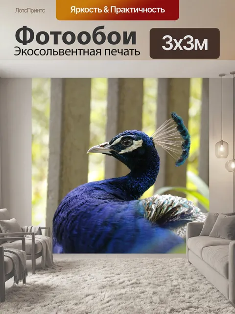 Фотообои Павлин