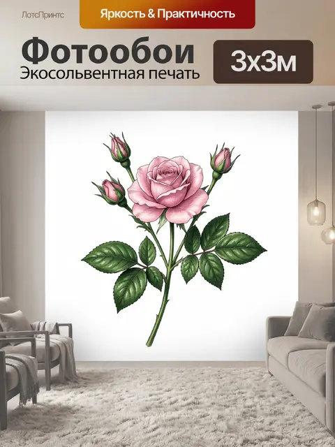 Фотообои Розовая роза с бутонами