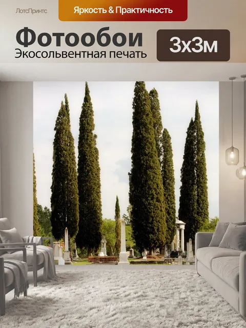 Фотообои Итальянский кипарисов