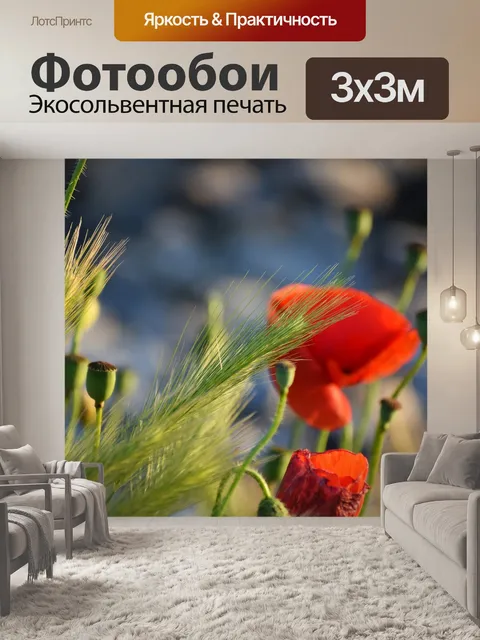 Фотообои Красный букет маков