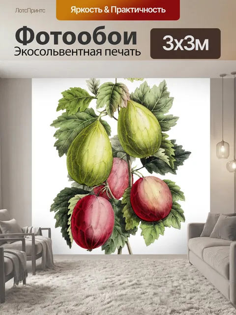 Фотообои Ягоды фрукты старинные иллюстрации