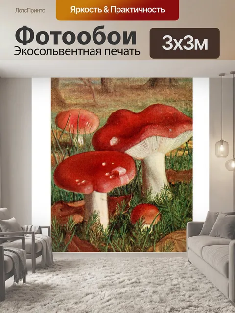 Фотообои Грибы век винтаж старый