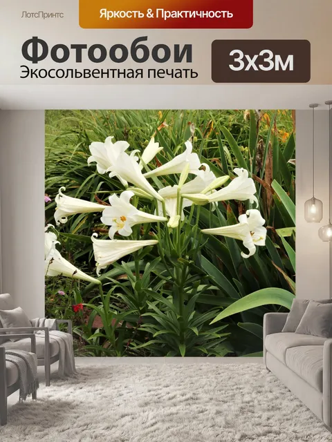Фотообои Белые лилии в цветочном саду