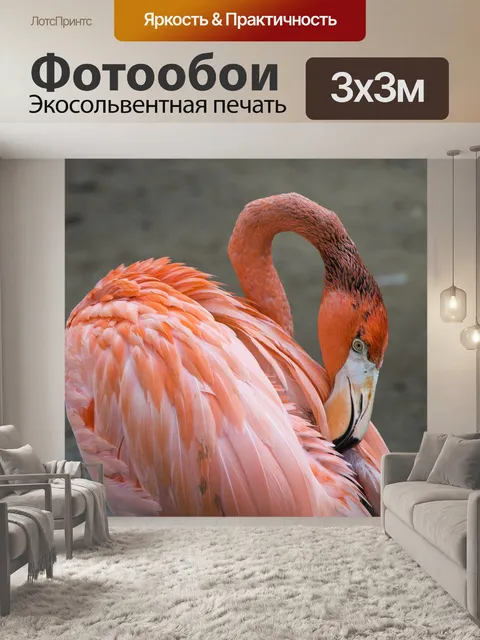 Фотообои Птицы