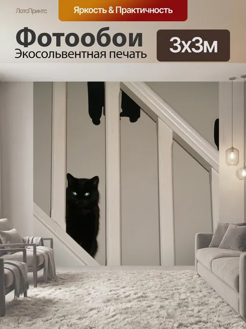 Фотообои Черный кот