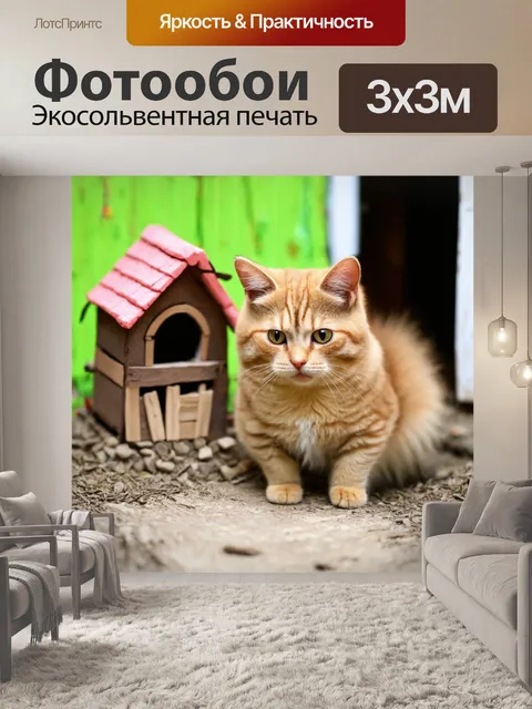 Фотообои кошки, строящие свои маленькие домики в деревне