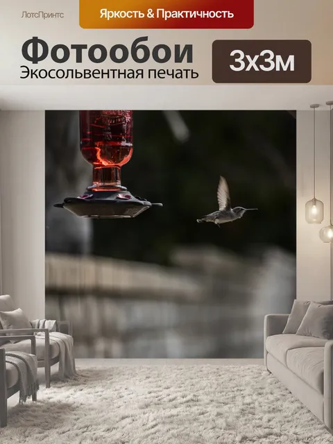 Фотообои Колибри в полете