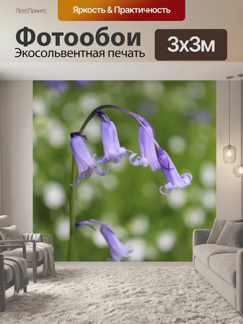 Фотообои Колокольчик 1